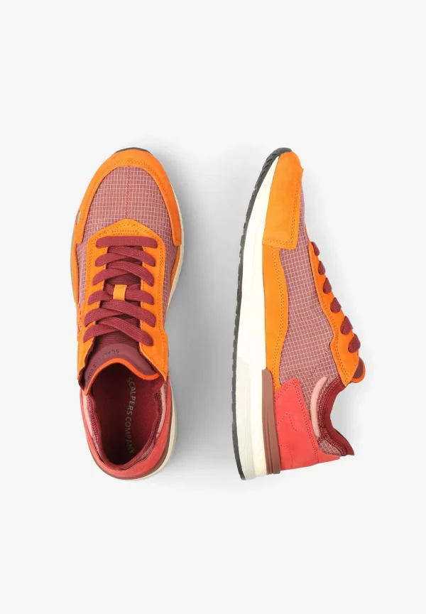 scalperscompany Sneakers Calavera Multicolor-Hombre Sneakers
