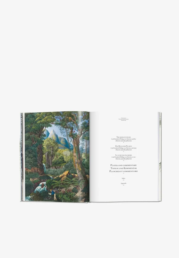 TASCHEN | Libro Book Of Palms-Hombre Mas Accesorios