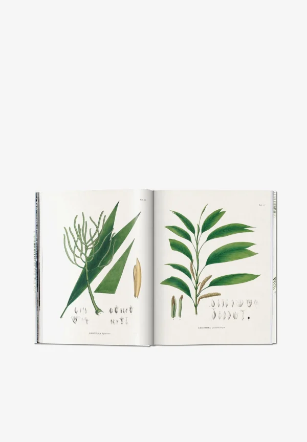 TASCHEN | Libro Book Of Palms-Hombre Mas Accesorios