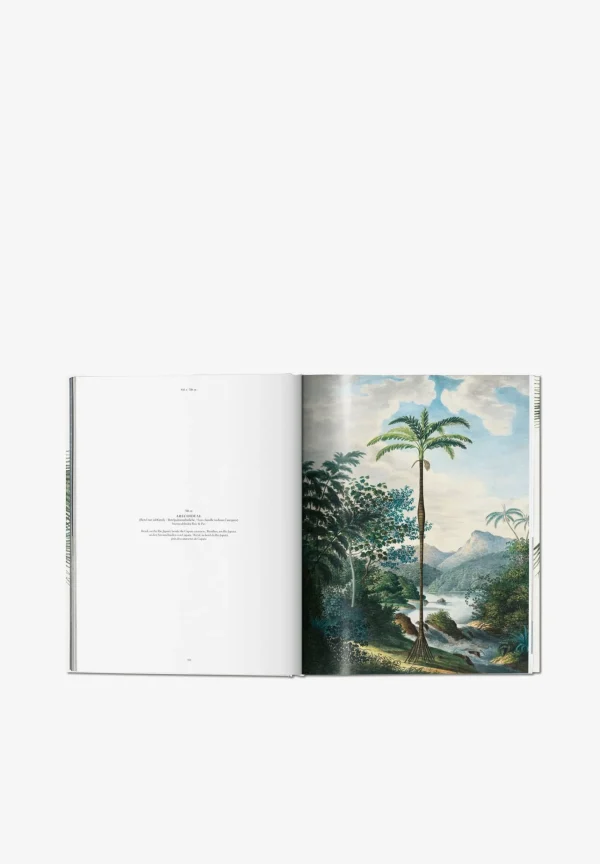 TASCHEN | Libro Book Of Palms-Hombre Mas Accesorios